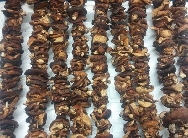 Nấm hương Sa Pa 1 kg