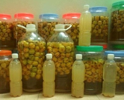 Táo mèo ngâm đường 5 lít